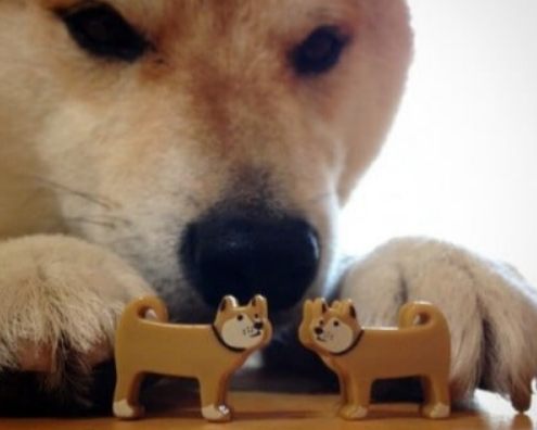 Психологи советуют секс зимой против депрессии: вот как это работает