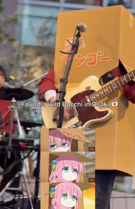 В Японии нашли реальную Боччи из аниме Bocchi the Rock! — она прячется в коробке на сцене